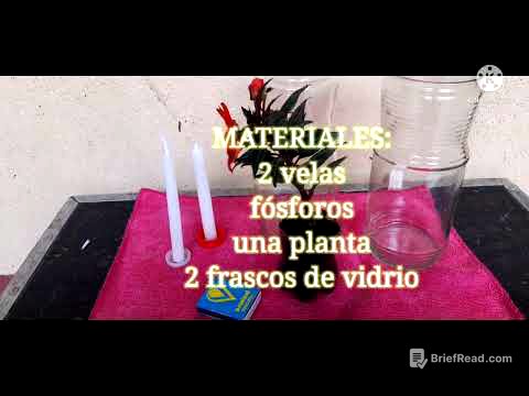 Experimento de Fotosíntesis y Respiración Celular| Sofía Sinay 202211246