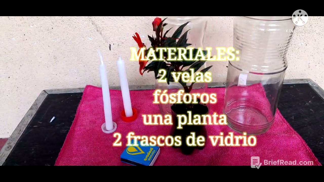 Experimento de Fotosíntesis y Respiración Celular| Sofía Sinay 202211246