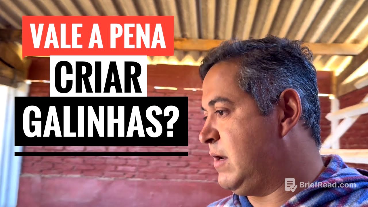COMO ESTÁ A PRODUÇÃO DE OVOS NO SÍTIO?!