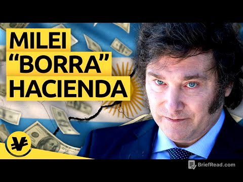 MILEI usará el DINERO NEGRO para salvar la economía Argentina - VisualEconomik