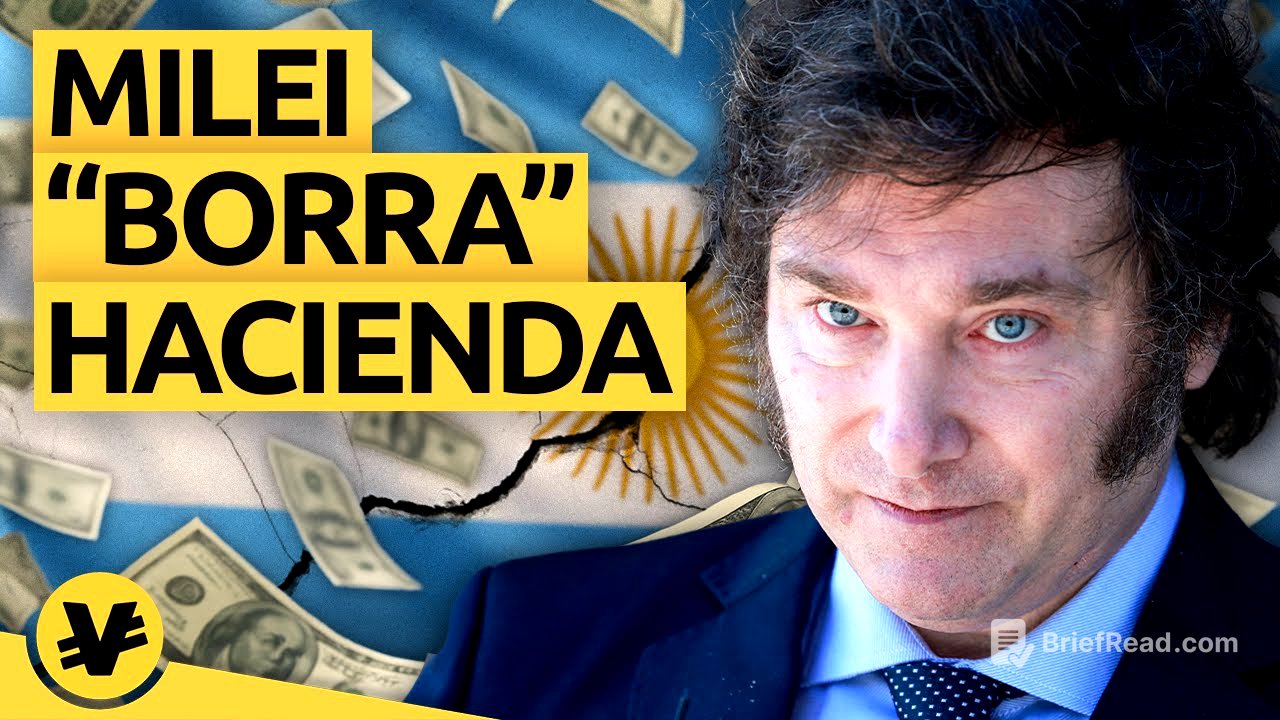 MILEI usará el DINERO NEGRO para salvar la economía Argentina - VisualEconomik