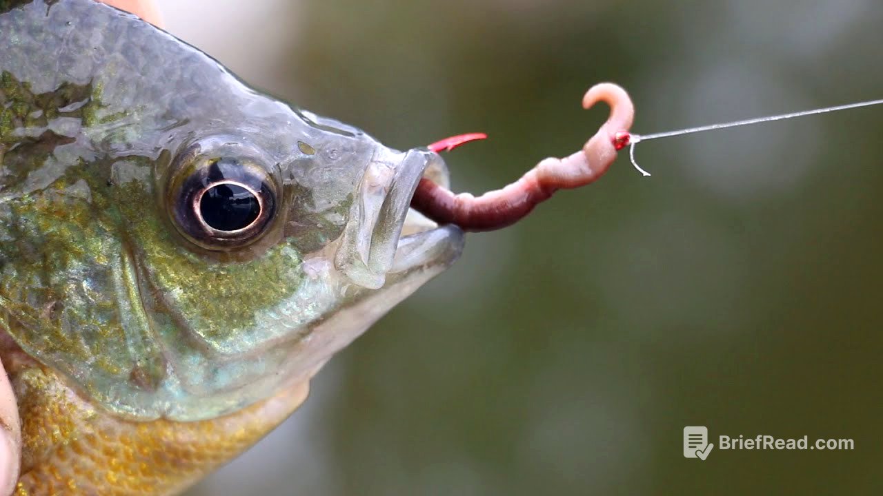 How to bait a Hook with a REAL worm