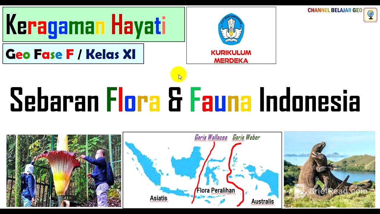 Sebaran Flora Fauna di Indonesia #kumer