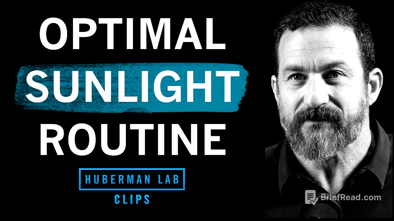Optimal Morning & Evening Sunlight Routine | Dr. Andrew Huberman