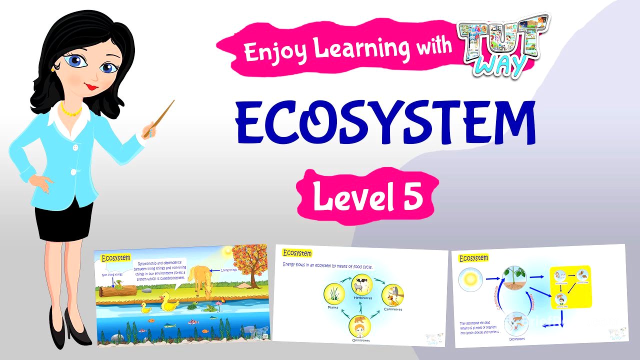 Ecosystem | Science | Grade-4,5 | TutWay |