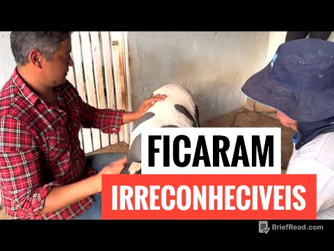 COMO FOI TOSQUIAR AS OVELHAS DO SÍTIO? DIA DE MUITO TRABALHO .
