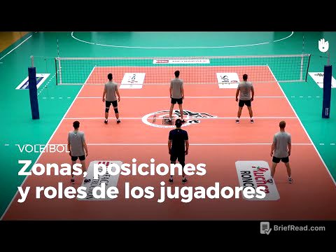 Las zonas, las posiciones y los roles de los jugadores. | Voleibol