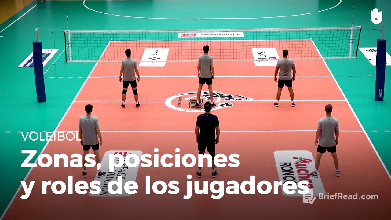 Las zonas, las posiciones y los roles de los jugadores. | Voleibol