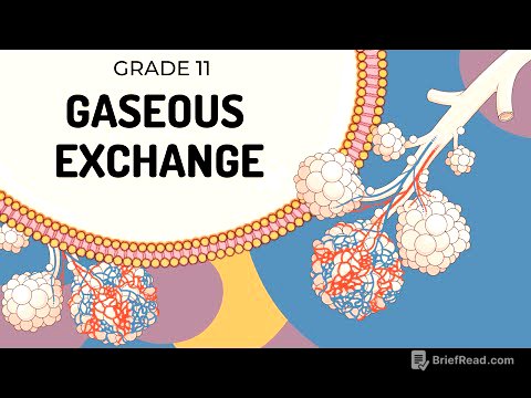 GASEOUS EXCHANGE | Easy to Understand