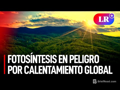 El CALENTAMIENTO GLOBAL ha comenzado a FRENAR la FOTOSÍNTESIS en los BOSQUES TROPICALES de la TIERRA