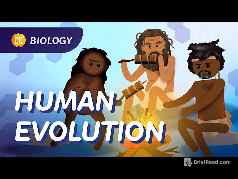 Human Evolution: We Didn't Evolve From Chimps: Crash Course Biology #19