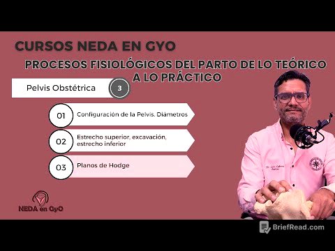 3. Pelvis Obstétrica. Curso: Procesos fisiológicos del parto. De lo teórico a lo práctico.
