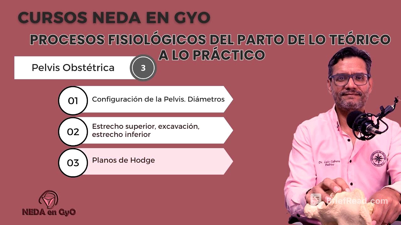3. Pelvis Obstétrica. Curso: Procesos fisiológicos del parto. De lo teórico a lo práctico.