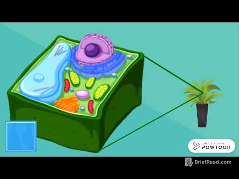 Célula vegetal | Partes de la célula y sus funciones | Biología Vegetal