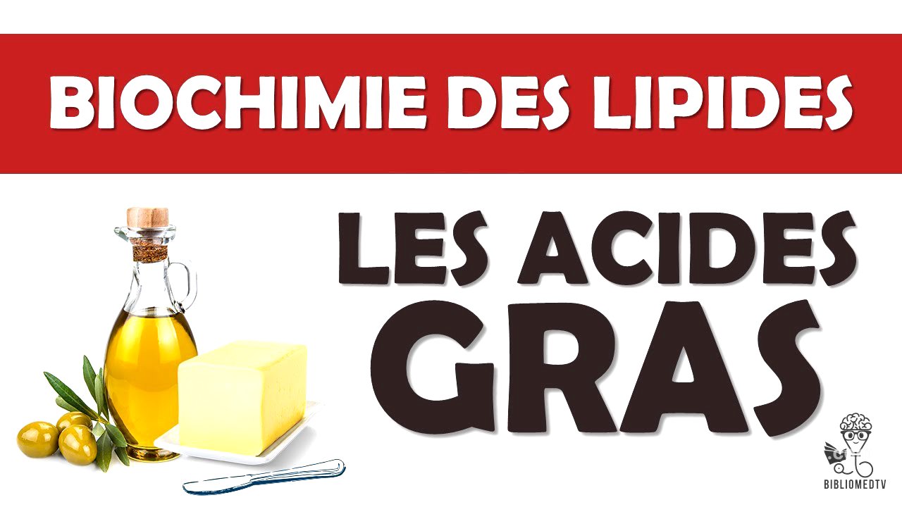 Biochimie des Lipides - les Acides Gras