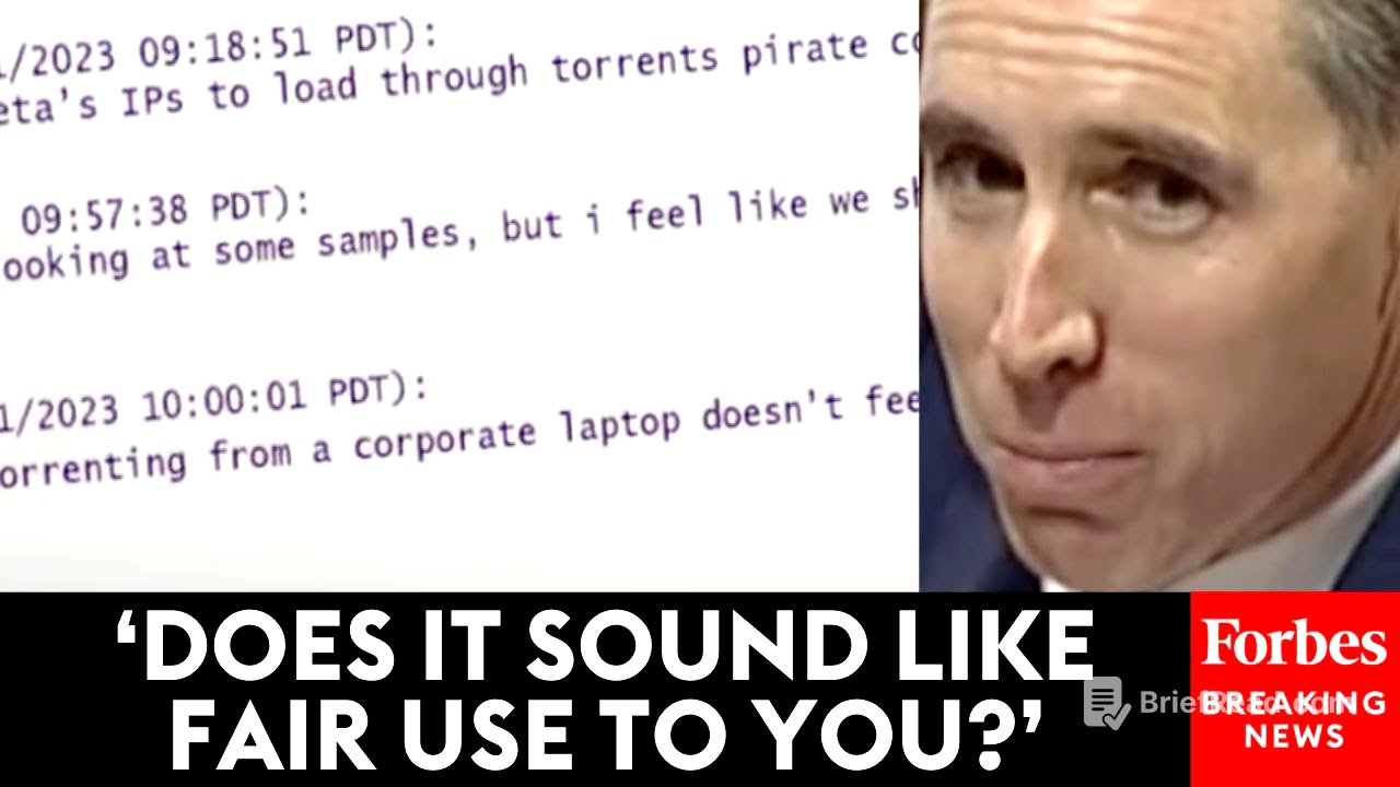 WATCH: Josh Hawley Pulls Up Meta Employee Chat Logs In Front Of Congress Showing 'Pirating' Scheme