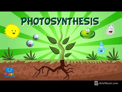 Photosynthesis | Educational Video for Kids