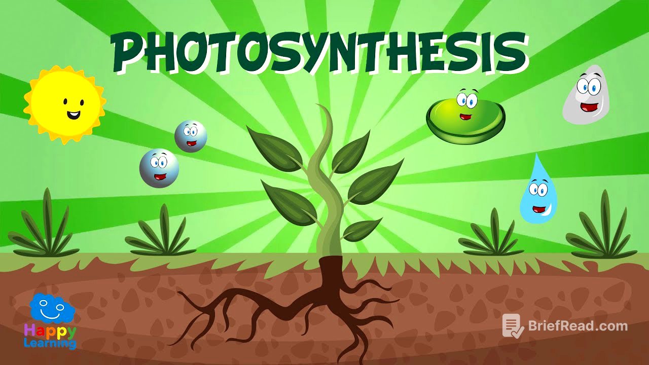 Photosynthesis | Educational Video for Kids
