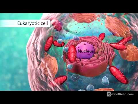 Biology: Cell Structure I Nucleus Medical Media