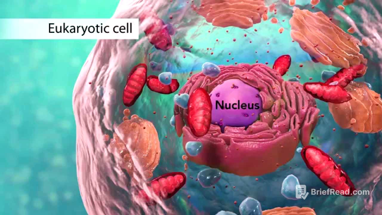 Biology: Cell Structure I Nucleus Medical Media
