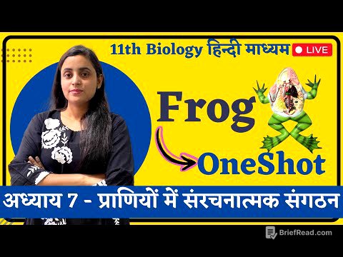 OneShot, Frog (मेंढक) Ch 7 - प्राणियों में संरचनात्मक संगठन | 11th Biology hindi medium Renu Ma'am
