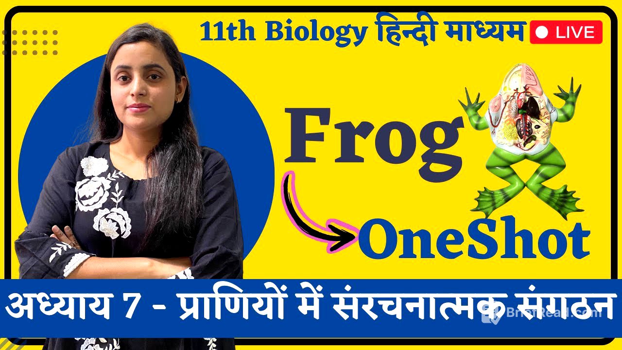 OneShot, Frog (मेंढक) Ch 7 - प्राणियों में संरचनात्मक संगठन | 11th Biology hindi medium Renu Ma'am
