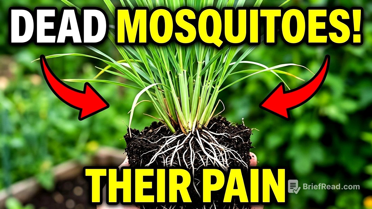 One Backyard Plant Turns Your Yard Into a Mosquito 'Dead-Zone' — Why Is It 'Banned'?