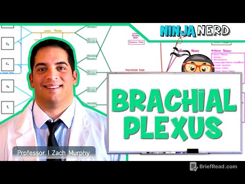 Neurology | Brachial Plexus