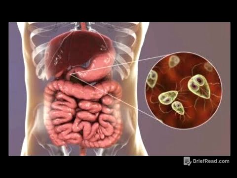 Giardiose flagellés intestinaux 3eme année médecine/révision résidanat résumé l'essentiel du cours