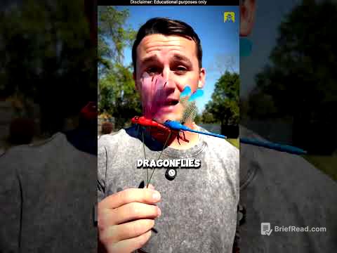 How to Eliminate Mosquitoes Using Dragonfly-Shaped Clips #shorts
