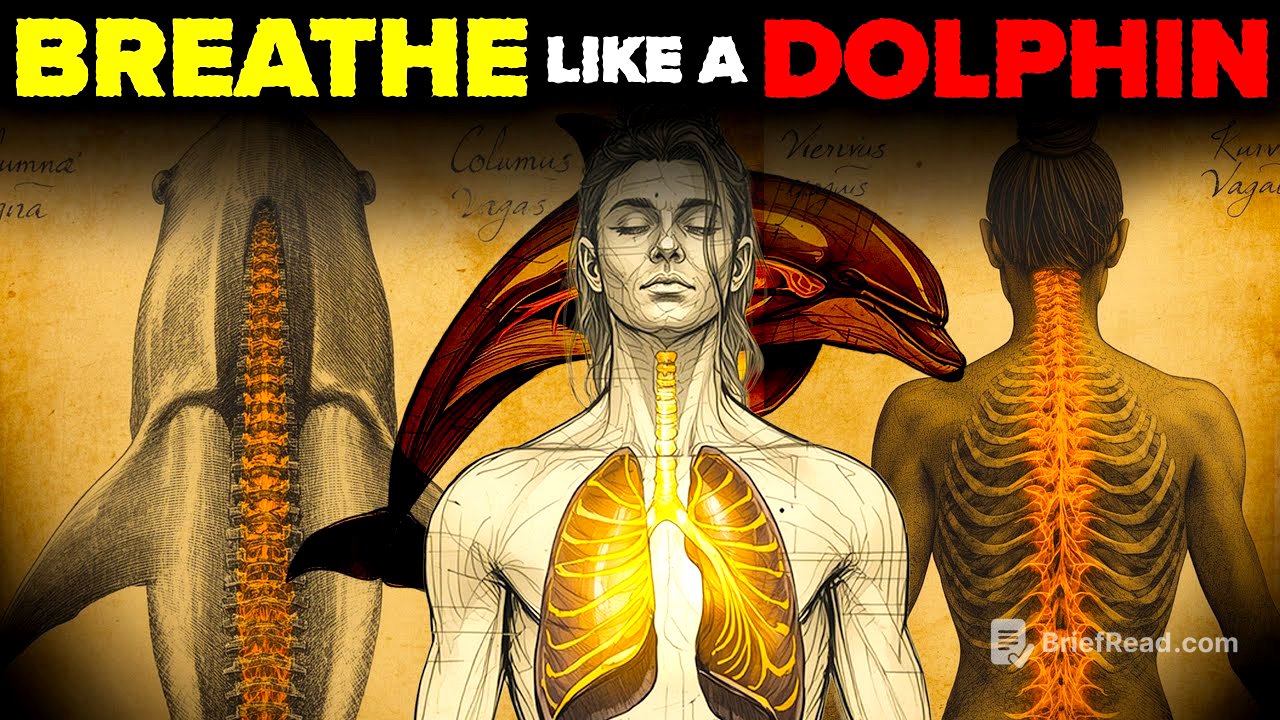 Breathe Like a Dolphin: 7-Minute Technique to Manifest Instantly (Science Proven)