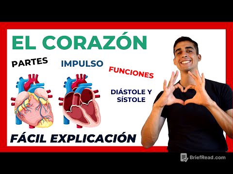 ❤ El corazón PARTES y FUNCIONES | FÁCIL EXPLICACIÓN| Anatomía y Fisiologia
