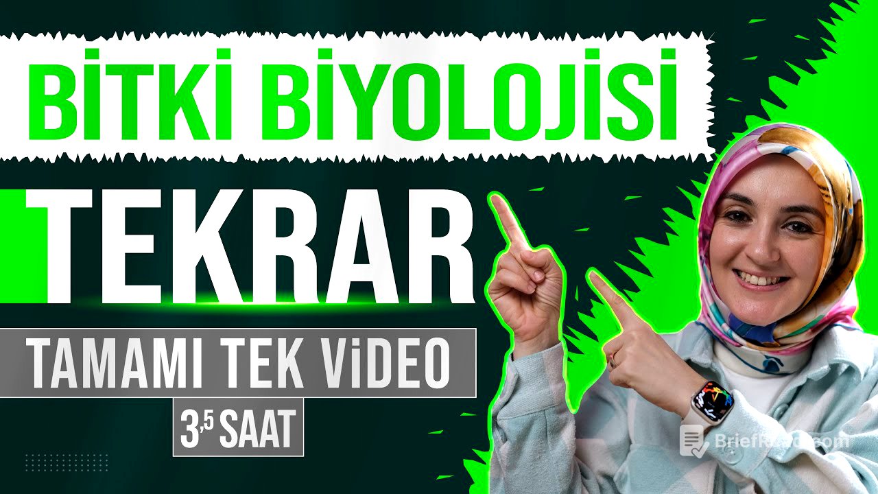 13) Bitki Biyolojisi FULL TEKRAR | 12. Sınıf Biyoloji | AYT Biyoloji Konu Anlatımı 13