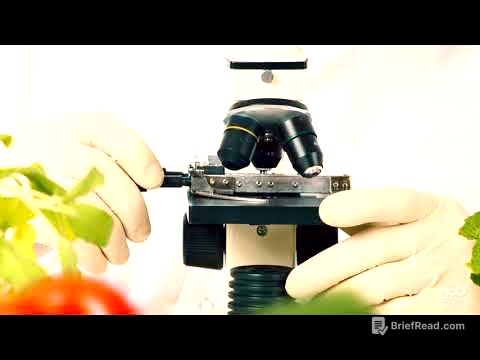 Agricoltura e OGM