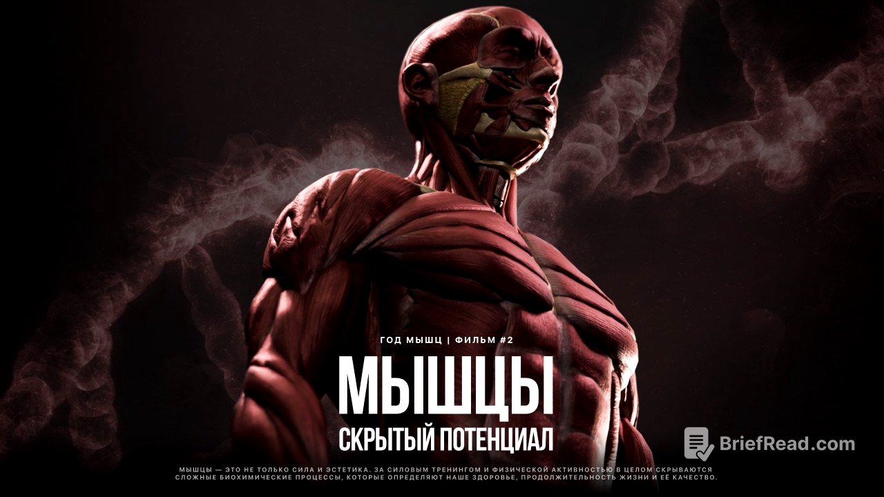 КАК ТРЕНИРОВКИ МЕНЯЮТ ТЕБЯ ИЗНУТРИ. От мозга и психики до иммунитета и гормонов. Год Мышц | Фильм #2