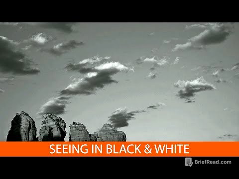 Seeing in Black and White with Eileen Rafferty