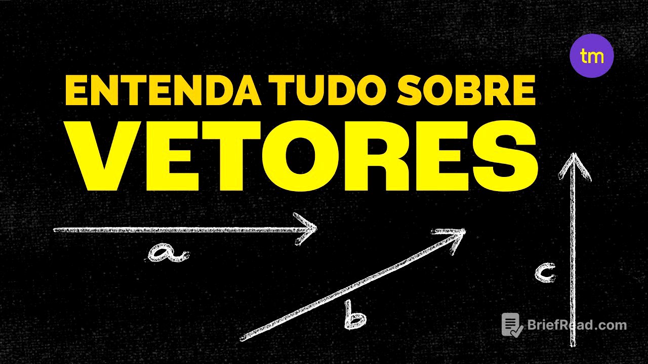 O que são VETORES?