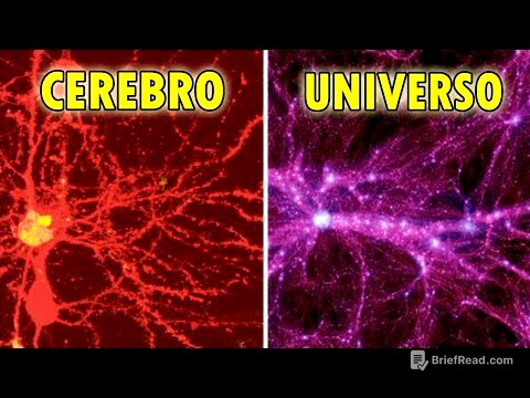 Descubren un UNIVERSO en Nuestro CEREBRO: "Como es Arriba es Abajo"