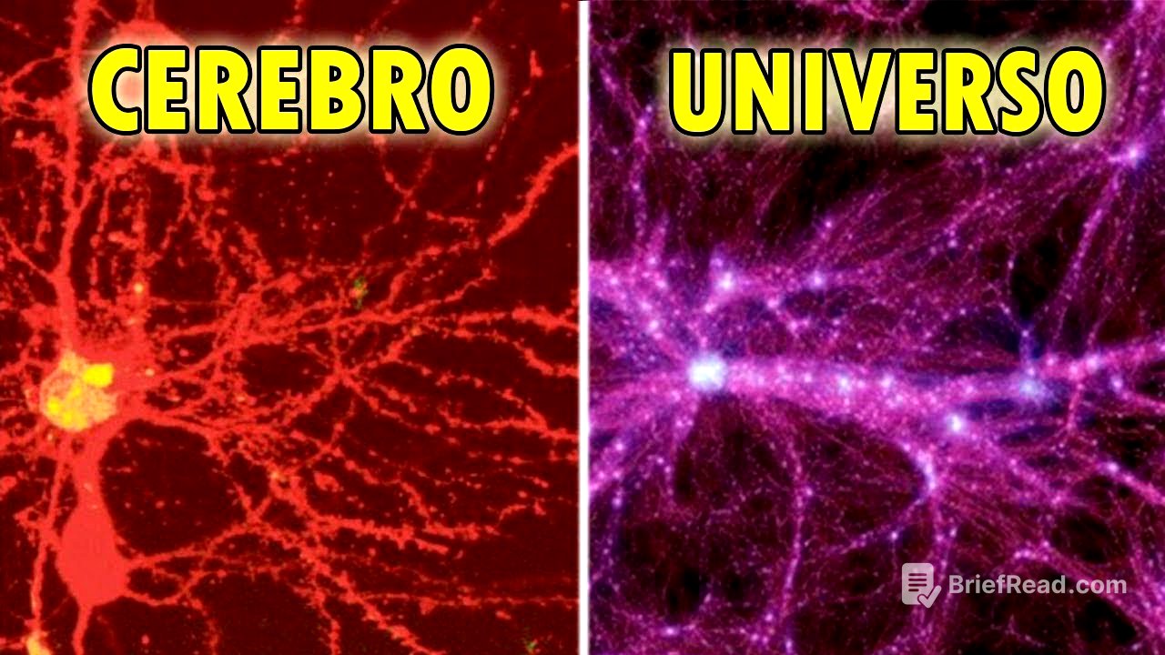 Descubren un UNIVERSO en Nuestro CEREBRO: "Como es Arriba es Abajo"
