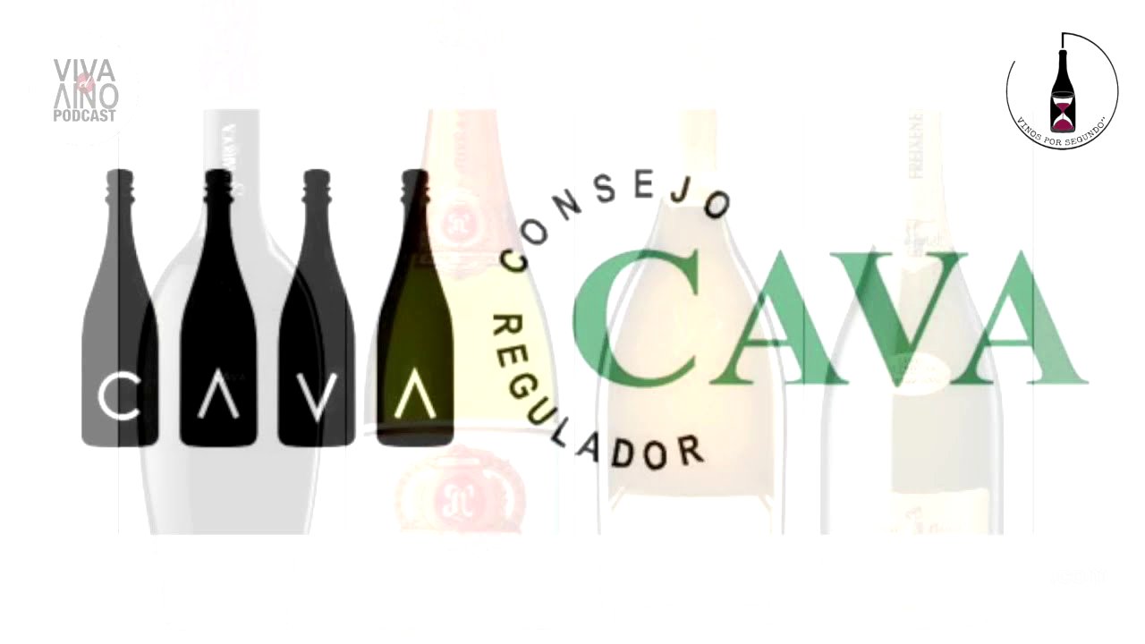 Denominación de Origen Cava, todo lo que siempre quisiste saber.