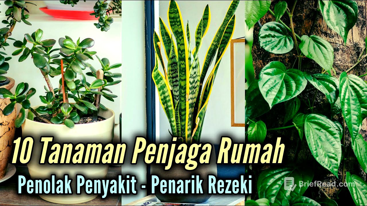 10 Tanaman Penjaga Rumah, Penolak Penyakit Hingga Penarik Rezeki