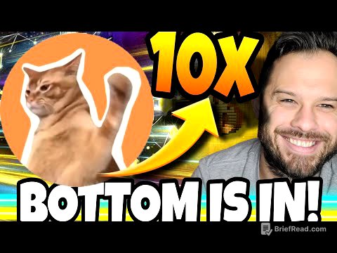 The Bottom Is In And Meme Coins Like CatSlap Are Ready To Soar Higher! 10x Ahead?!