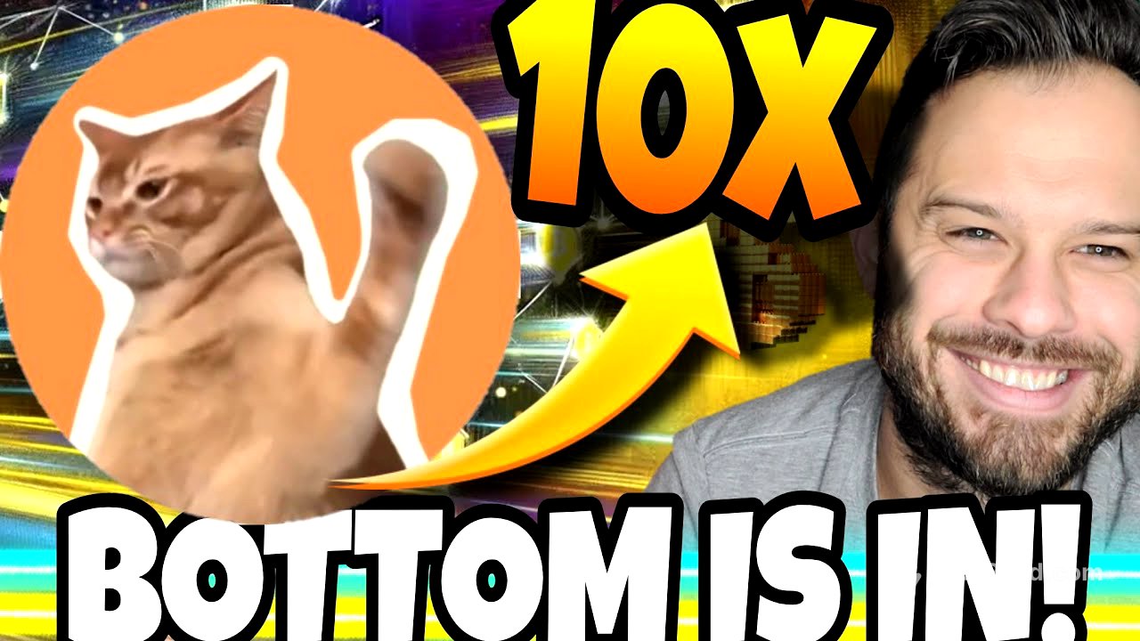 The Bottom Is In And Meme Coins Like CatSlap Are Ready To Soar Higher! 10x Ahead?!