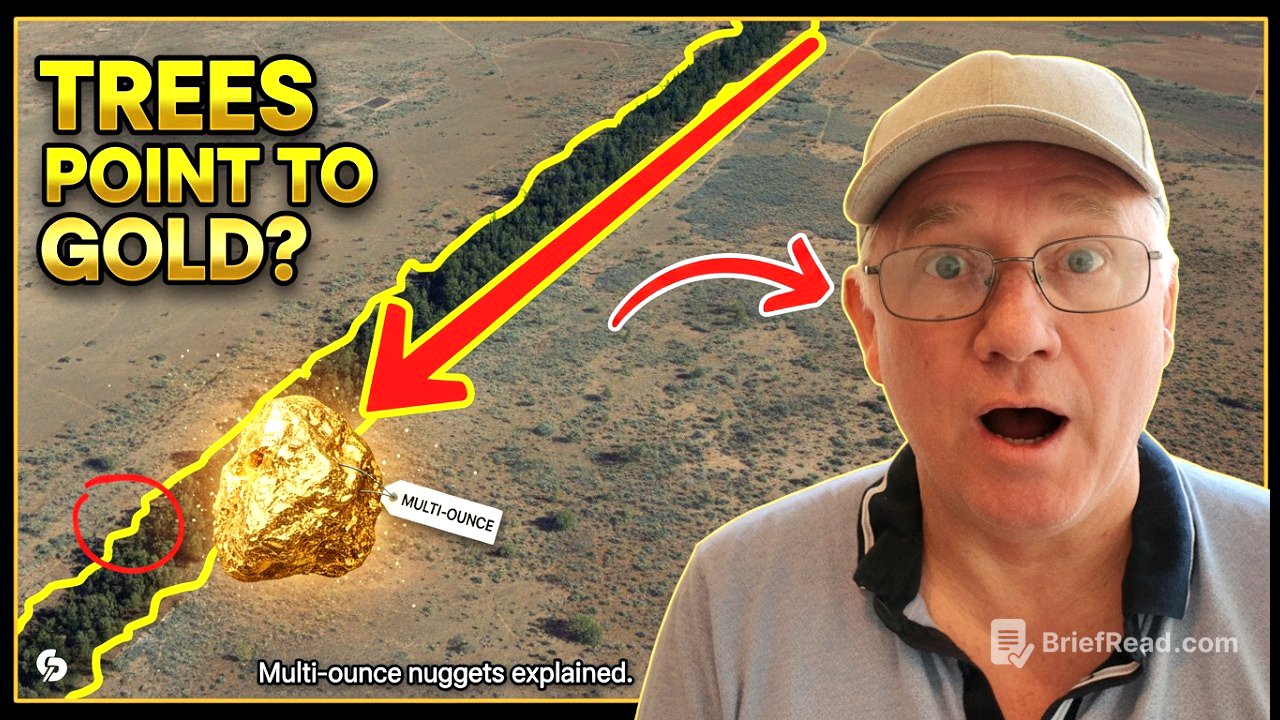 How a Line of Trees Can Point Straight to Multi-Ounce Gold — Watch the Secret Revealed
