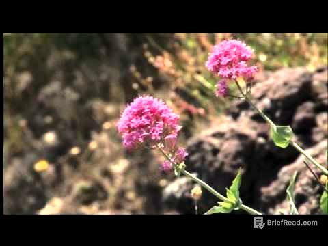 Documentario su Giacomo Leopardi 6 di 6