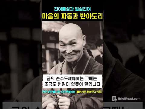 마음의 파동과 반야의 도리 #청화스님