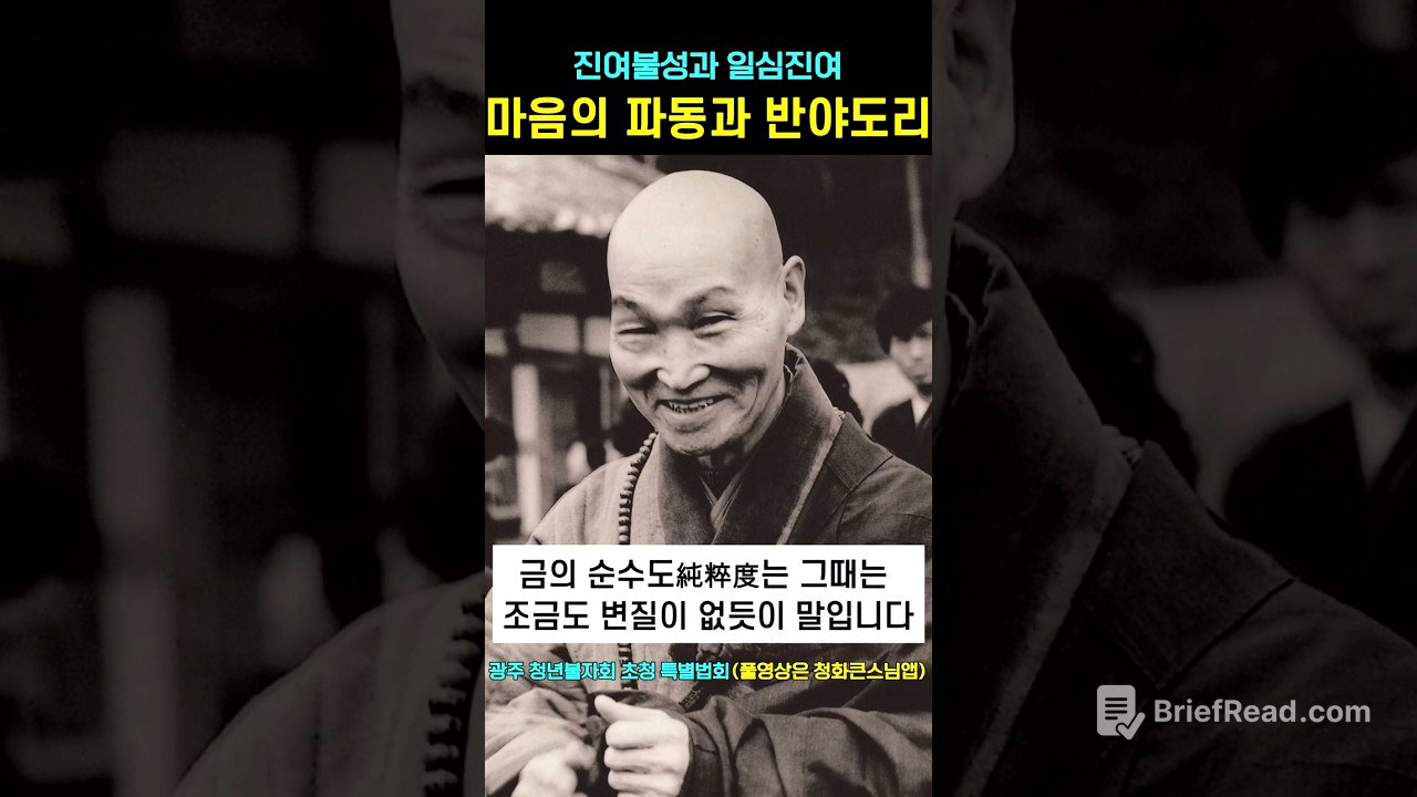 마음의 파동과 반야의 도리 #청화스님