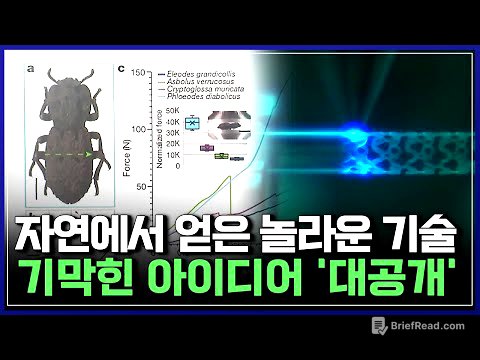 "이걸 보고..?" 자연에서 얻은 놀라운 기술! 한국 연구진들 기막힌 아이디어 '대공개' [반복재생] / YTN 사이언스
