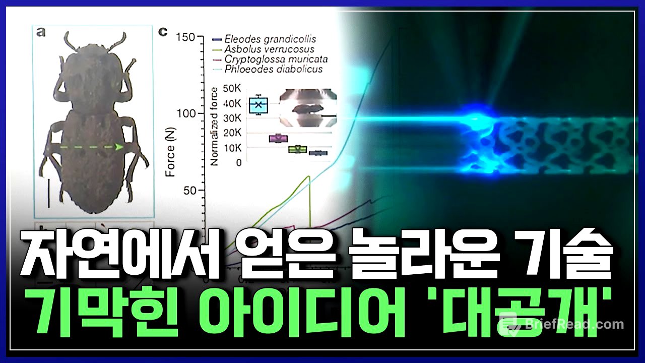 "이걸 보고..?" 자연에서 얻은 놀라운 기술! 한국 연구진들 기막힌 아이디어 '대공개' [반복재생] / YTN 사이언스