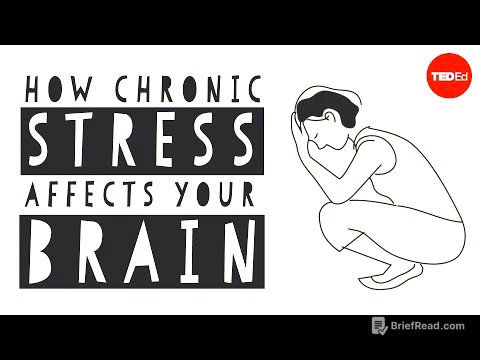 How stress affects your brain - Madhumita Murgia